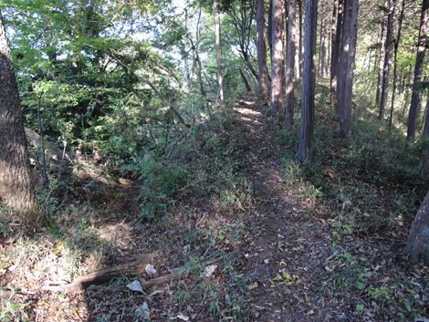 20161104hike (275)